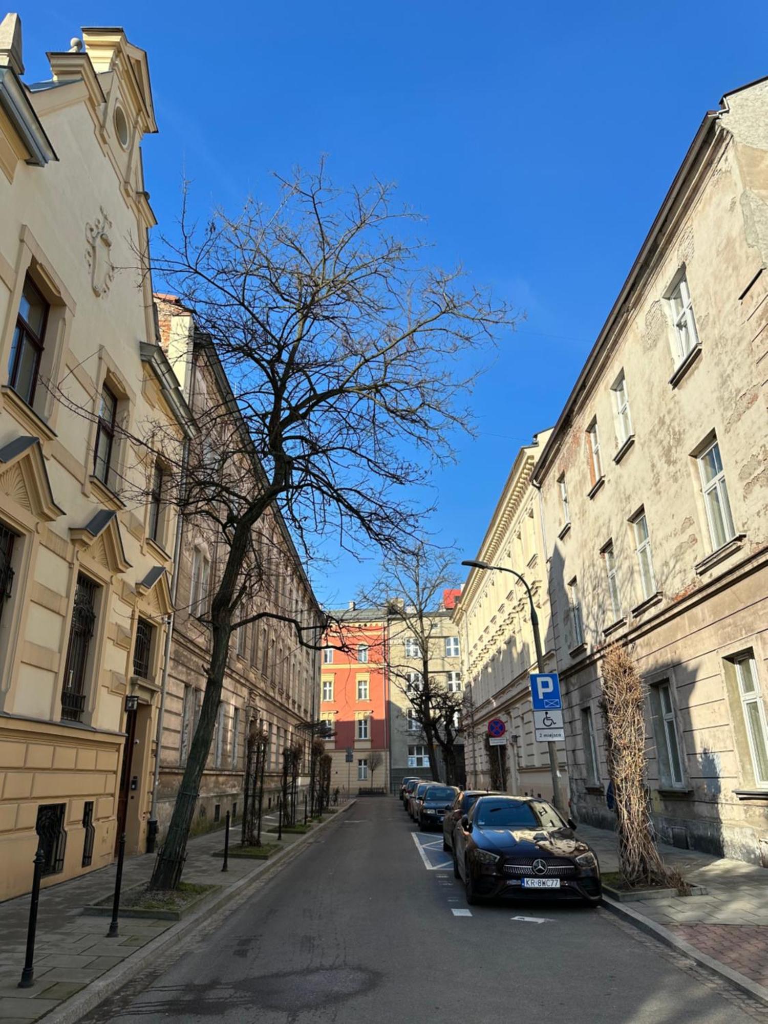 Perfect Place To Stay In Krakow City Center 28M2 W1 Dış mekan fotoğraf